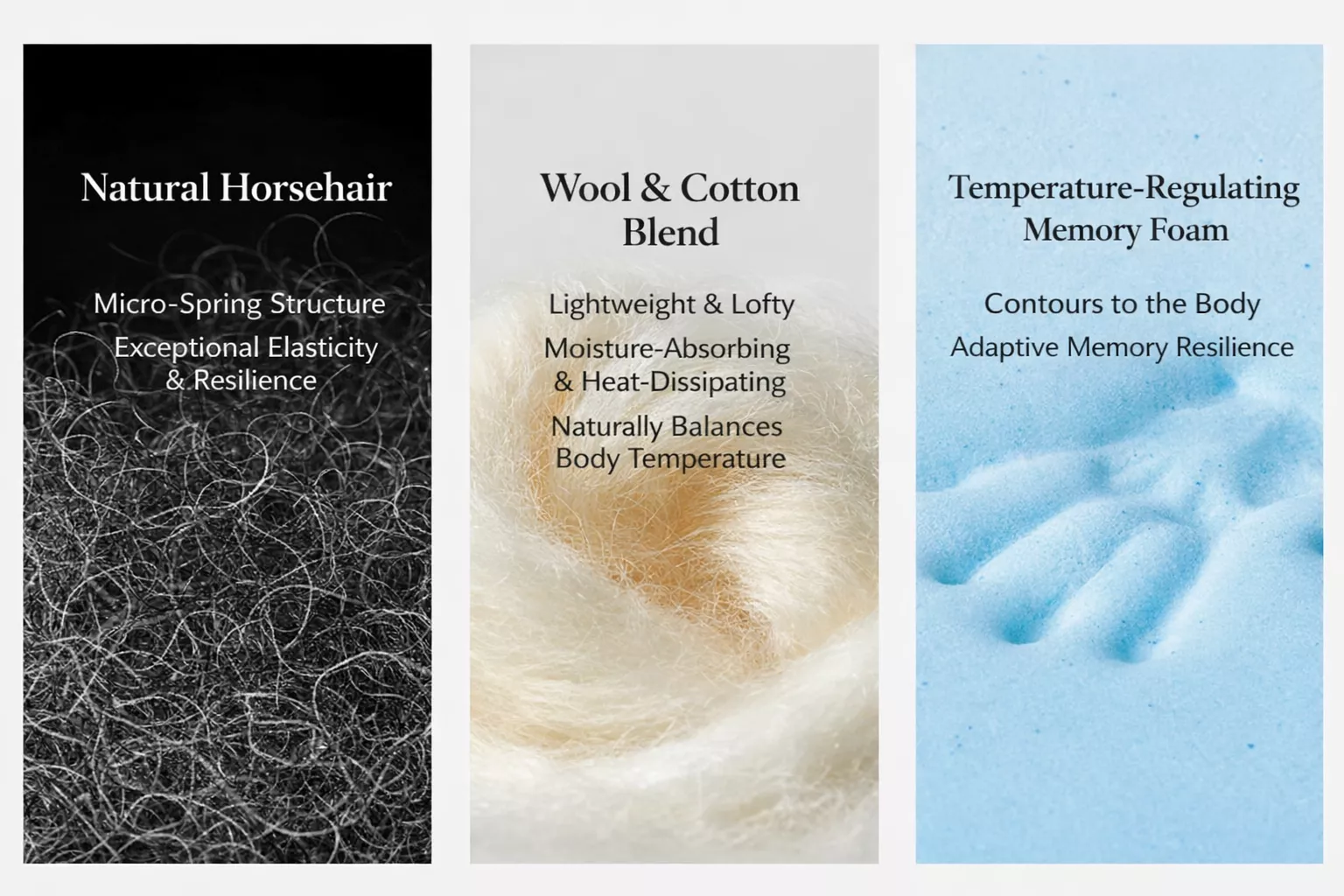 Zentop Origin Series-450T